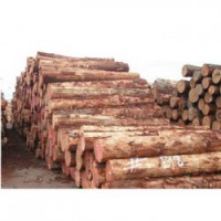 柳城收购松木企业一览表