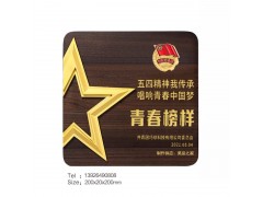 重庆青年榜样共青团奖牌公司工会表彰个人荣誉称号实木奖牌制作
