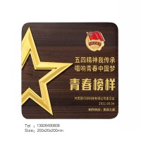 重庆青年榜样共青团奖牌公司工会表彰个人荣誉称号实木奖牌制作